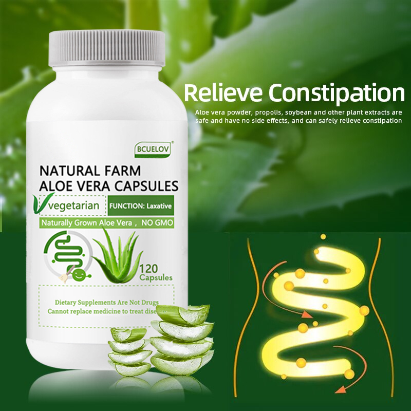 Aloe Vera Pot - Kapsul lidah buaya pertanian alami-meringankan Party