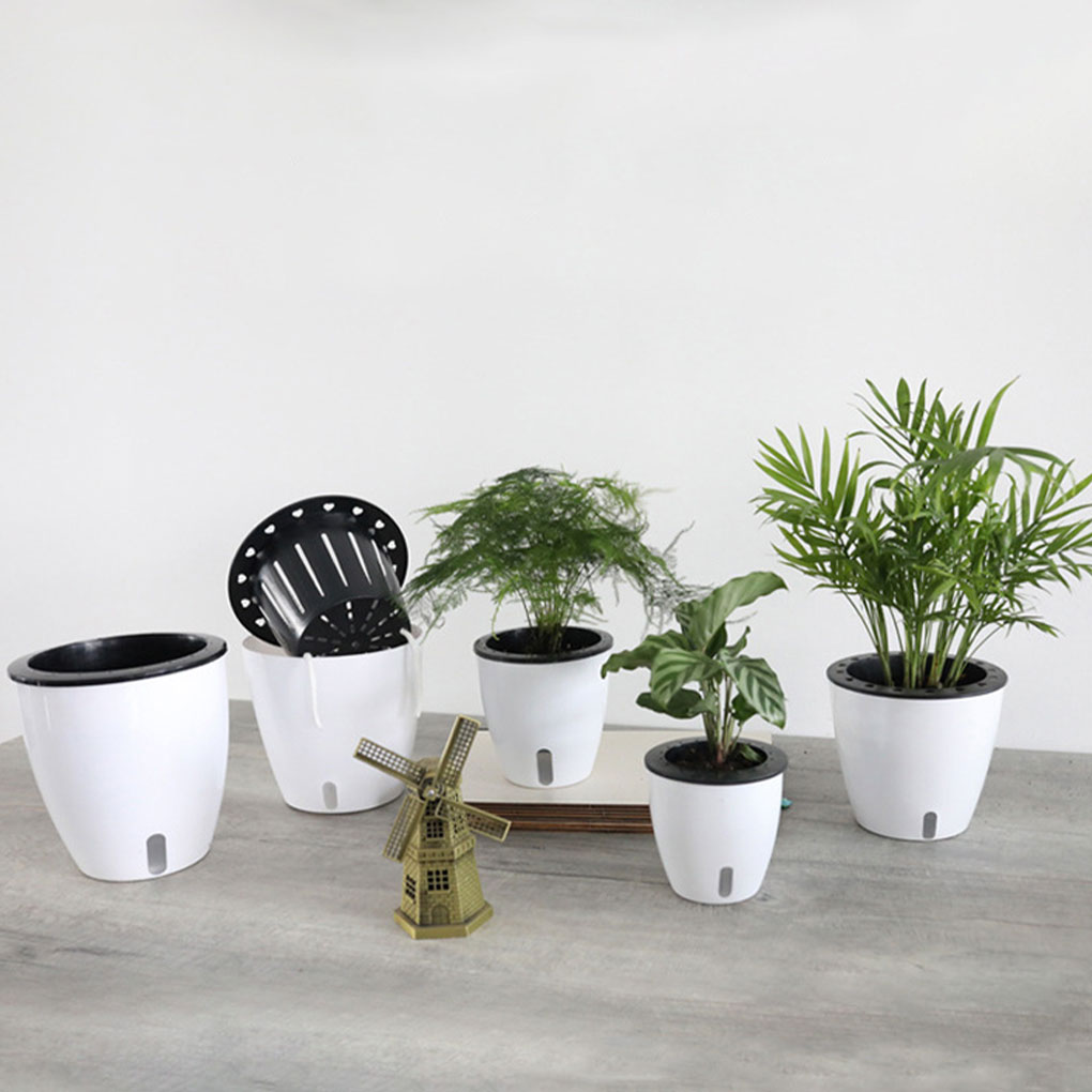 Aloe Vera Pot - Pot tanaman putih portabel dan ramah
