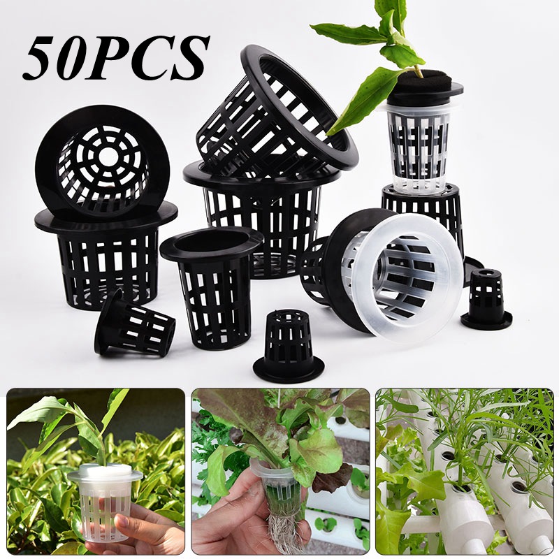 Aloe Vera Pot - 50 buah hitam putih Soilless Mesh