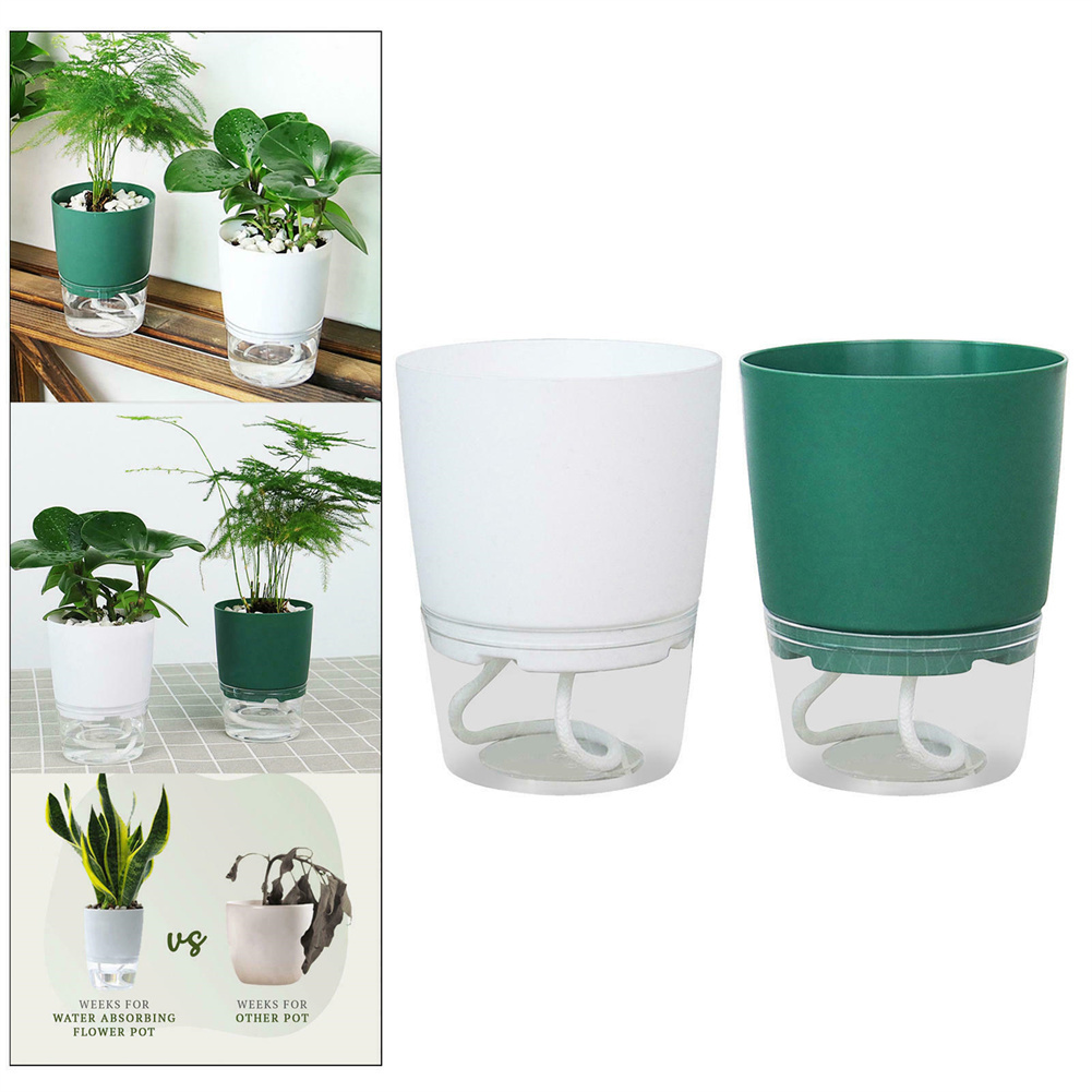 Aloe Vera Pot - Pot bunga hidroponik malas, Pot bunga