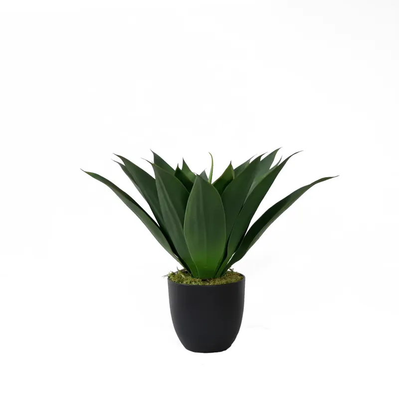 Aloe Vera Pot - Tanaman Lidah Buaya Buatan dalam Pot