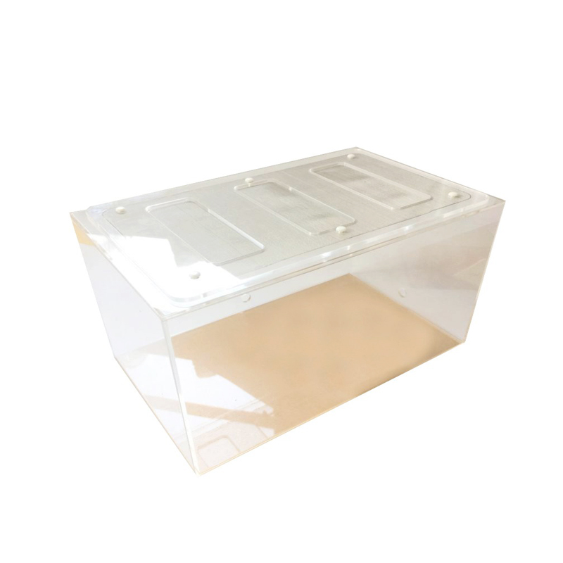 Kotak observasi transparan akr - Begonia Rex ulasan dan harga