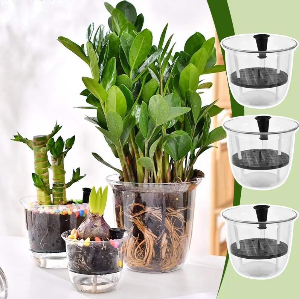 2 Buah Pot Penyiram Otomatis,  - Aloe Vera Pot ulasan dan harga