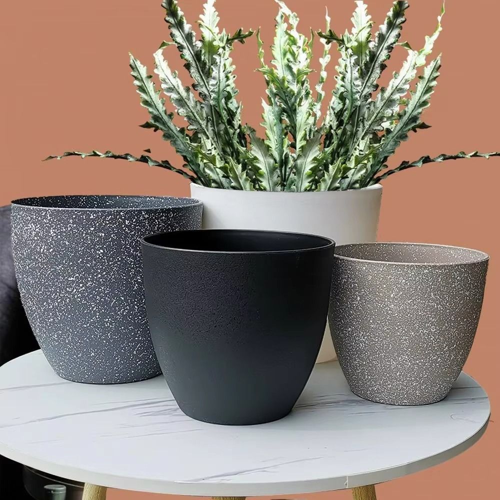 Pot Bunga Bonsai Batu Imitasi  - Aloe Vera Pot ulasan dan harga