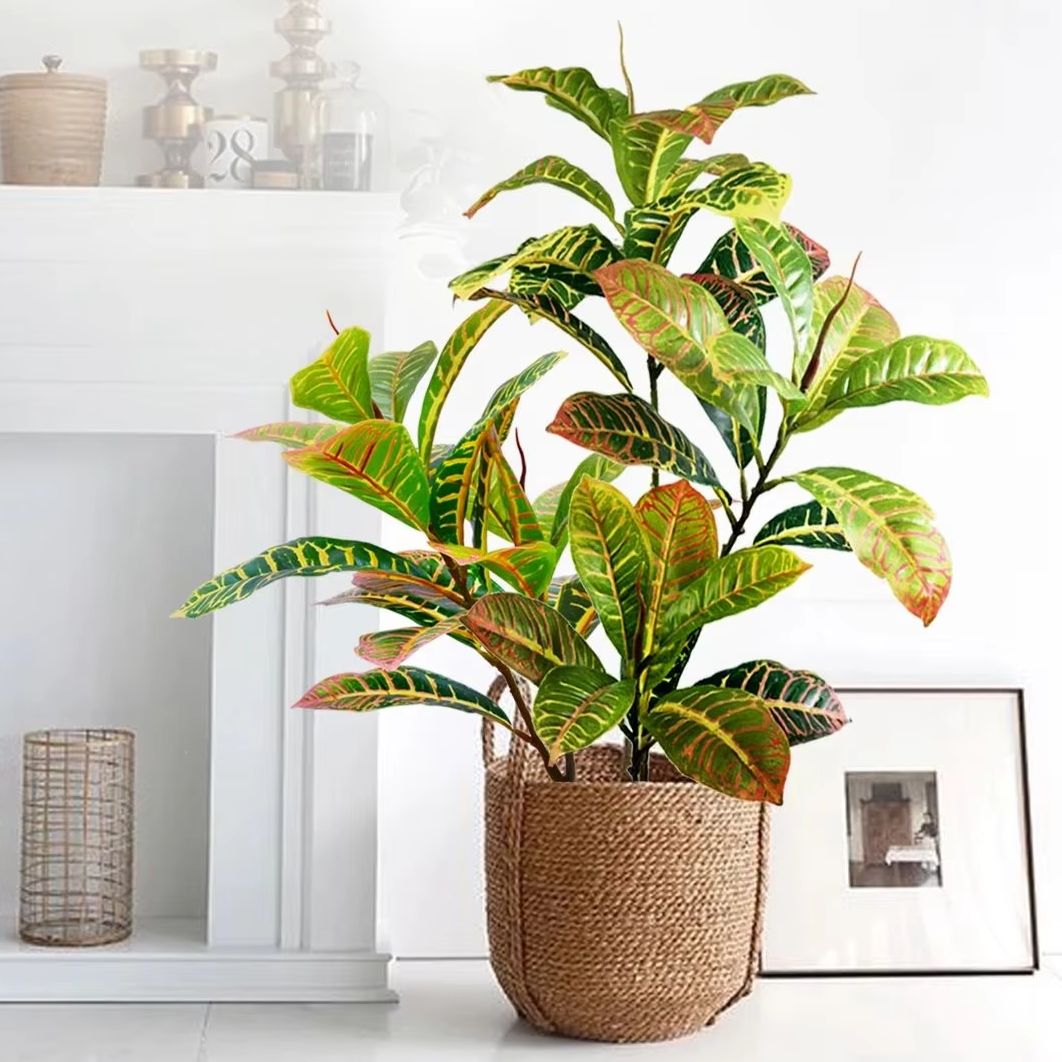 Tanaman Buatan 21-120cm Pohon  - Dracaena Marginata ulasan dan harga