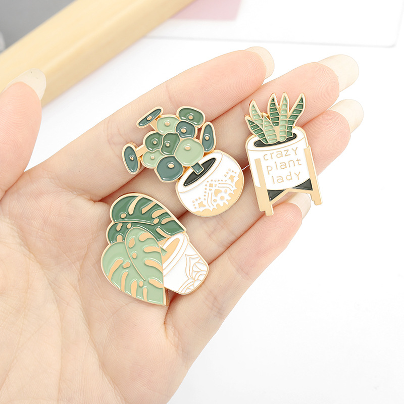 Bros tanaman pot Monstera bros - Aloe Vera Pot ulasan dan harga
