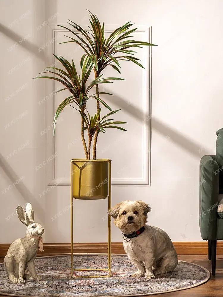 Simulasi Pohon Dracaena Margin - Dracaena Marginata ulasan dan harga