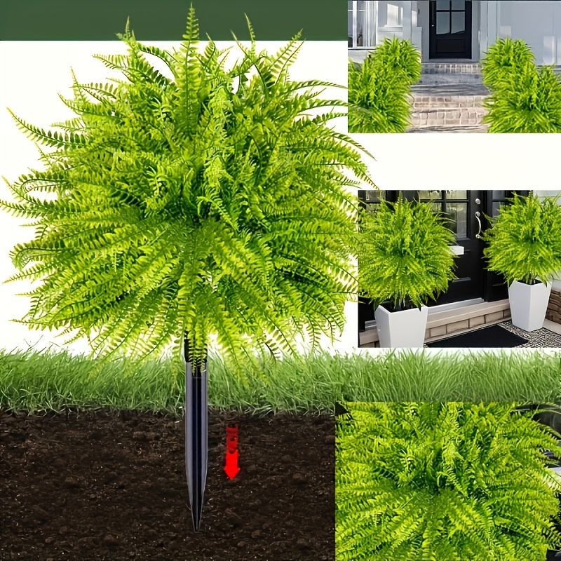 2 buah - 44cm Fern Ground Inse - Dracaena Marginata ulasan dan harga