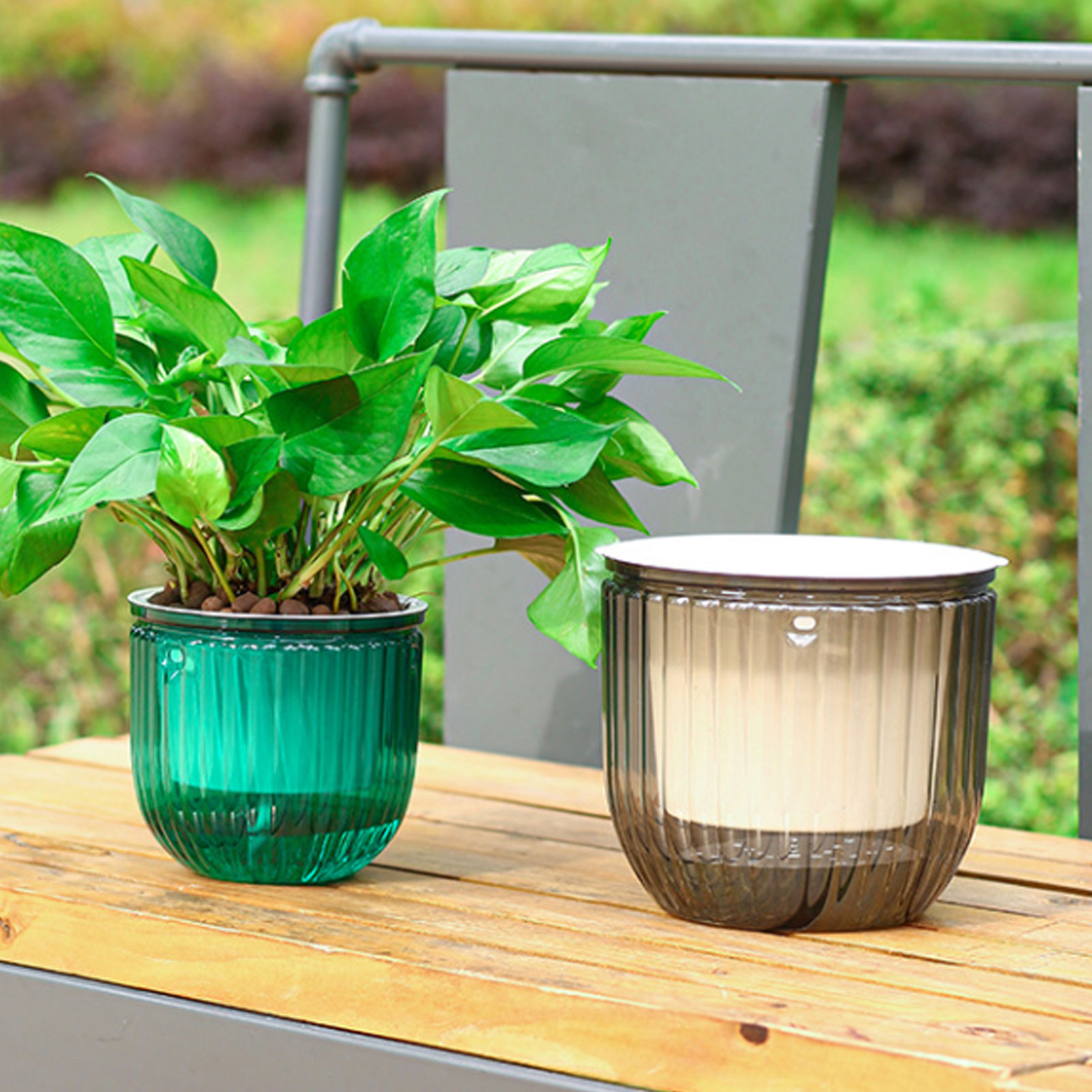 Pot Tanaman Penyiraman Otomati - Spider Plant Hanging ulasan dan harga