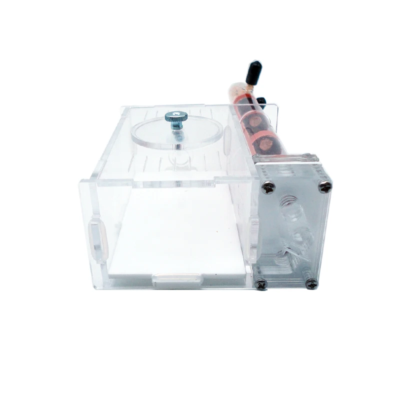 DIY Ant Academy 2 buah kandang - Begonia Rex ulasan dan harga