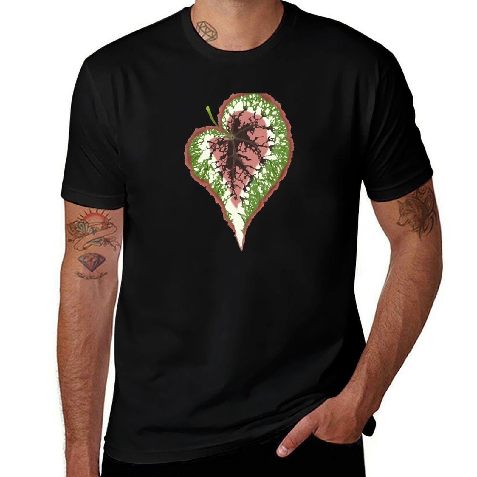 Kaos Begonia Rex Desain Sederh - Begonia Rex ulasan dan harga