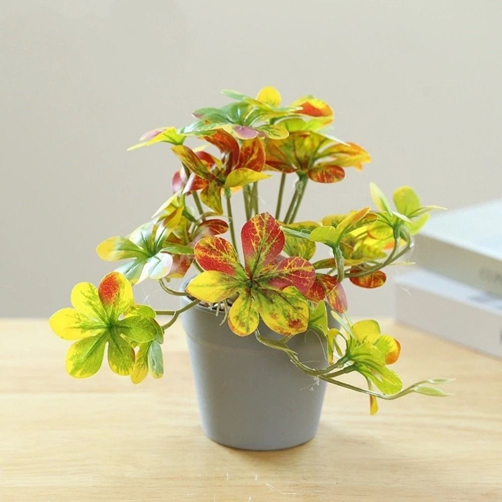 Tanaman Bonsai Buatan Tanaman  - Spider Plant Hanging ulasan dan harga