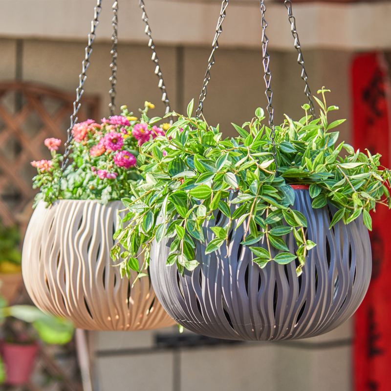 Pot gantung, bentuk plastik ya - Spider Plant Hanging ulasan dan harga