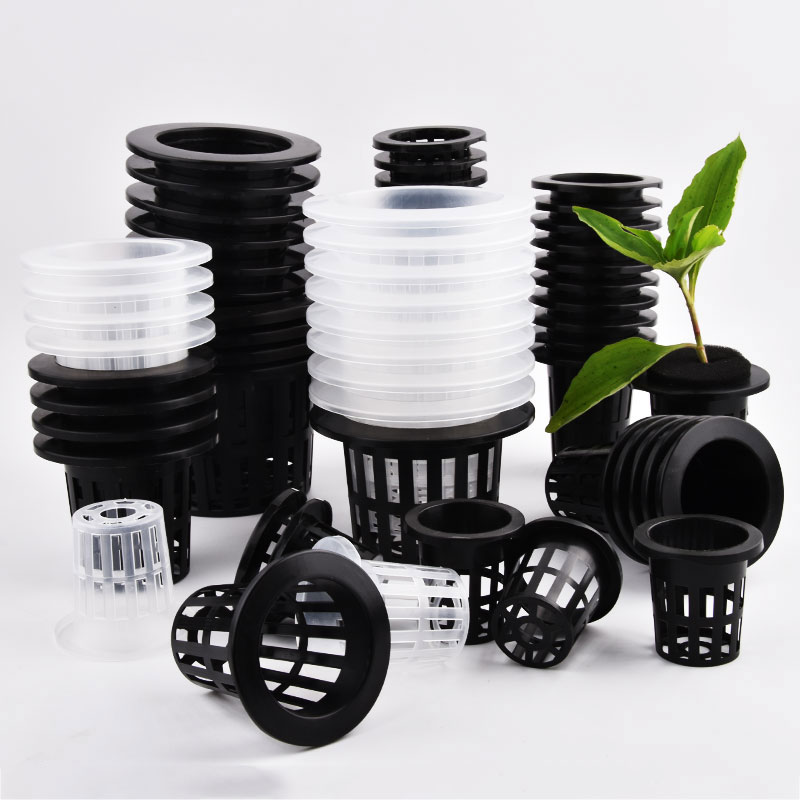 50 buah hitam putih Soilless M - Aloe Vera Pot ulasan dan harga