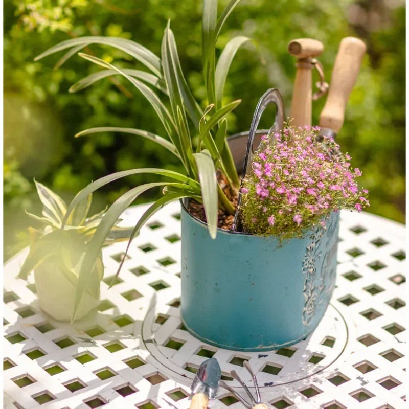 Keranjang gantung dinding biru - Spider Plant Hanging ulasan dan harga
