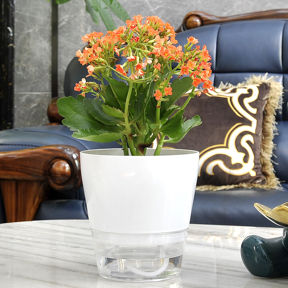 Bunga malas dengan lubang drai - Aloe Vera Pot ulasan dan harga