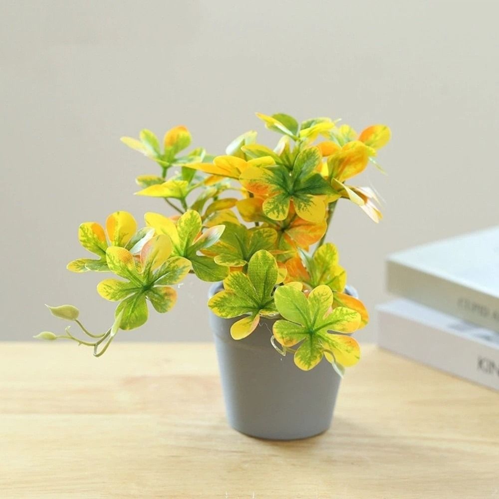 Tanaman Bonsai Buatan Tanaman  - Spider Plant Hanging ulasan dan harga