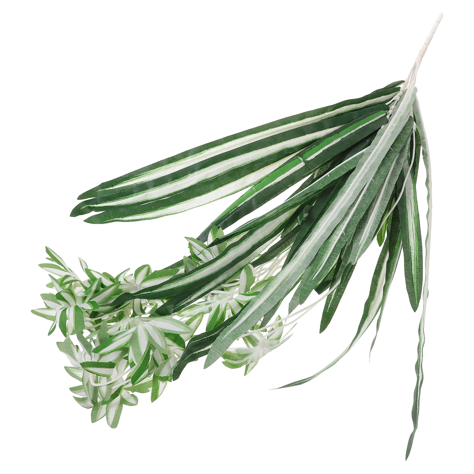 Dekorasi Dinding Tanaman Laba- - Spider Plant Hanging ulasan dan harga