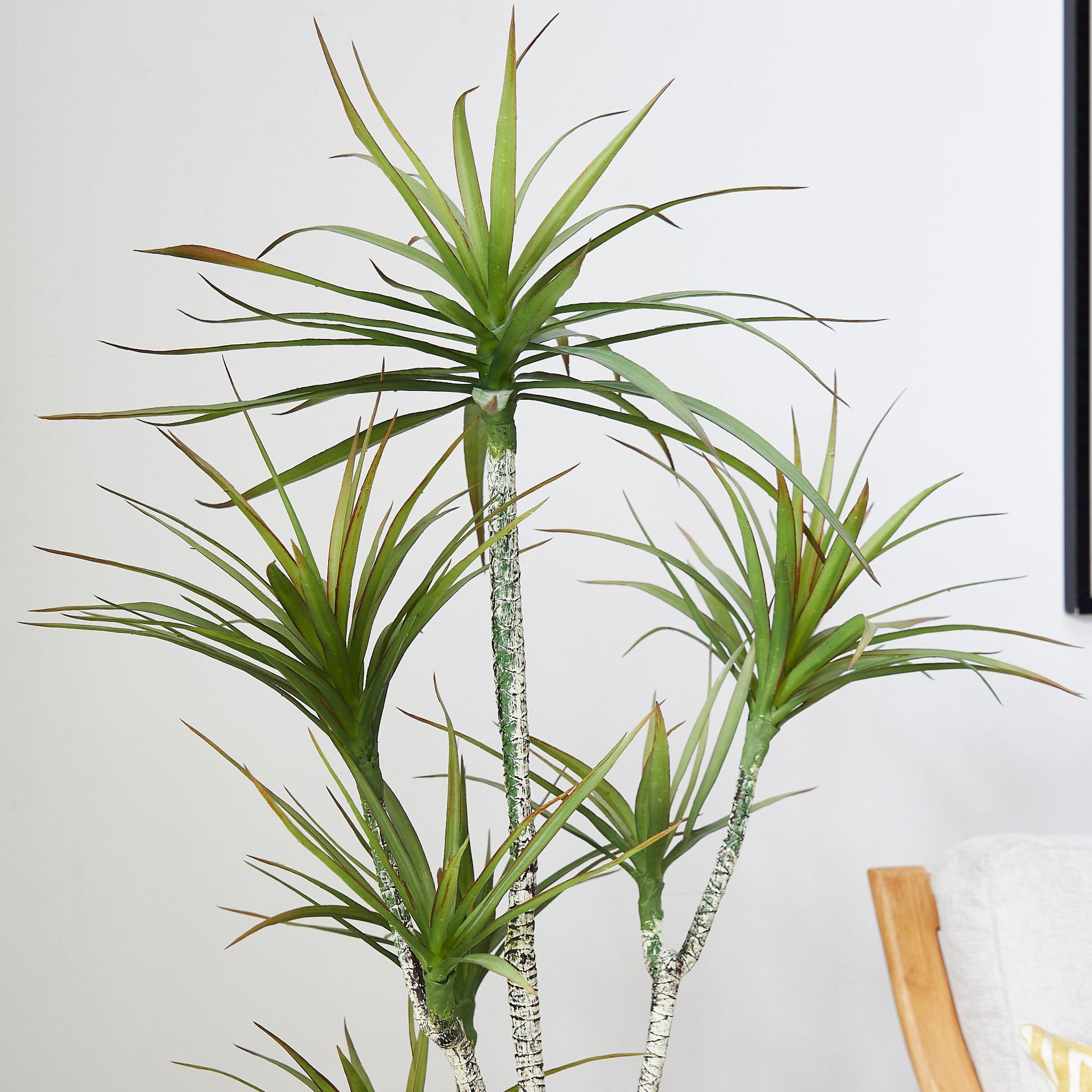 Pot Plastik Buatan ​ Tanaman D - Dracaena Marginata ulasan dan harga