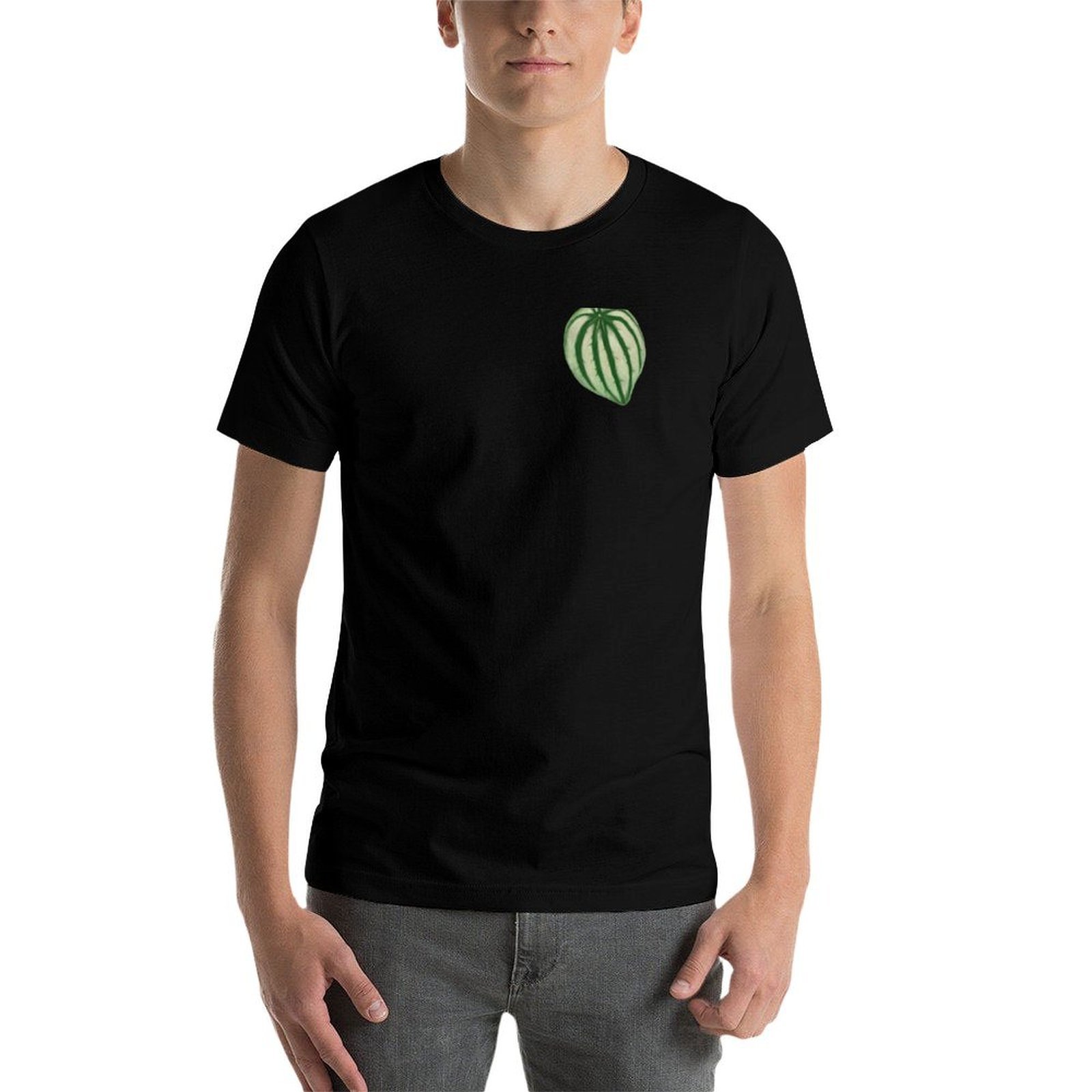 Kaos Watermelon Peperomia Kaos - Peperomia Watermelon ulasan dan harga