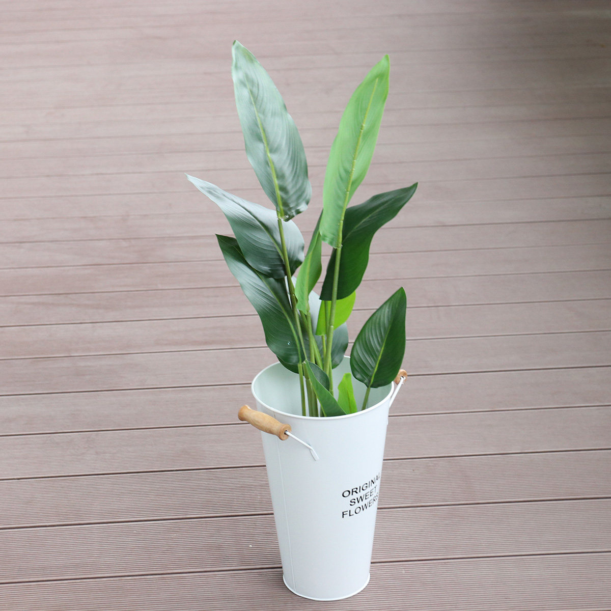 Pot Tanaman Sukulen dari Besi  - Aloe Vera Pot ulasan dan harga